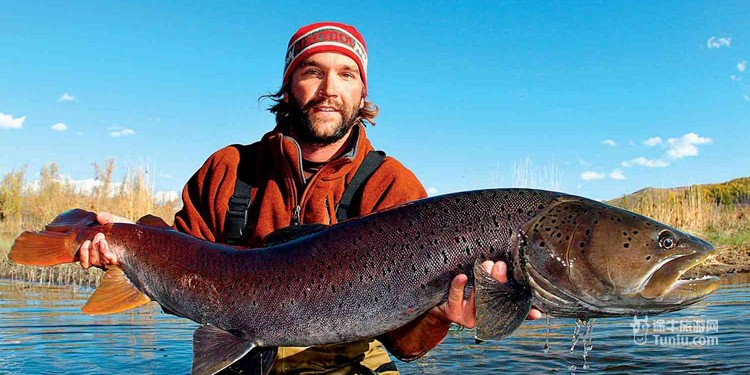 墨西哥最具代表性的动物是什么-美国、英国、