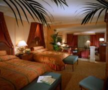 澳门威尼斯人-度假村-酒店(The Venetian Macao- Resort- Hotel)