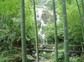 NC5KUEc=4_1302854572_730