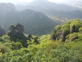 楠海远眺