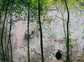 Jiulongbi1