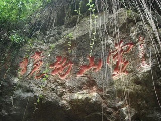 20100422114242939