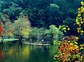 五泄风景区