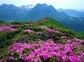 大明山