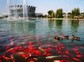 北京世界花卉大观园