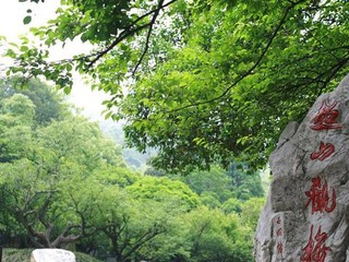 超山4