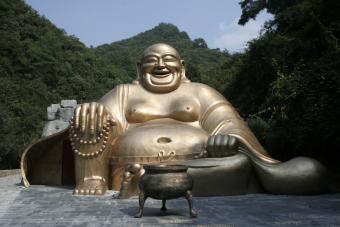 千岛湖林海归真