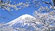[金泽-京都-大阪-东京-富山8日]