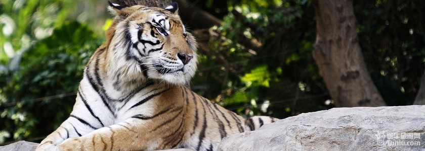 【长隆旅游】景点_2012自助游攻略_报价