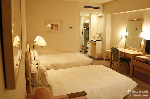 日本大阪瑞士南海酒店