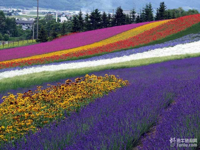 日本的前世今生 揭秘你不知道的日本(图)_日本旅游资讯_途牛