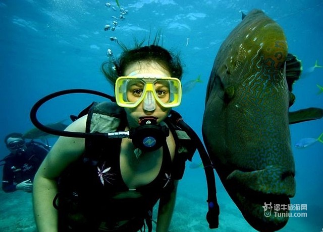 【图】大堡礁_攻略_介绍_门票价格_澳大利亚旅游_途牛