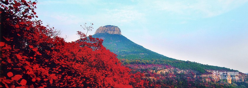 山东枣庄旅游旗舰店