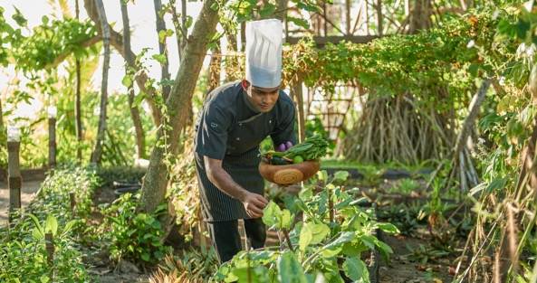 Chef’s Garden Treehouse 主厨花园树屋餐 - pic 2