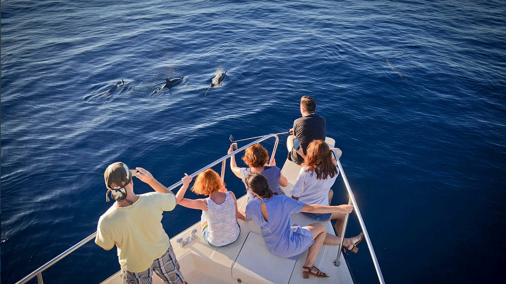 Grade-A Snorkeling & Diving - pic 2