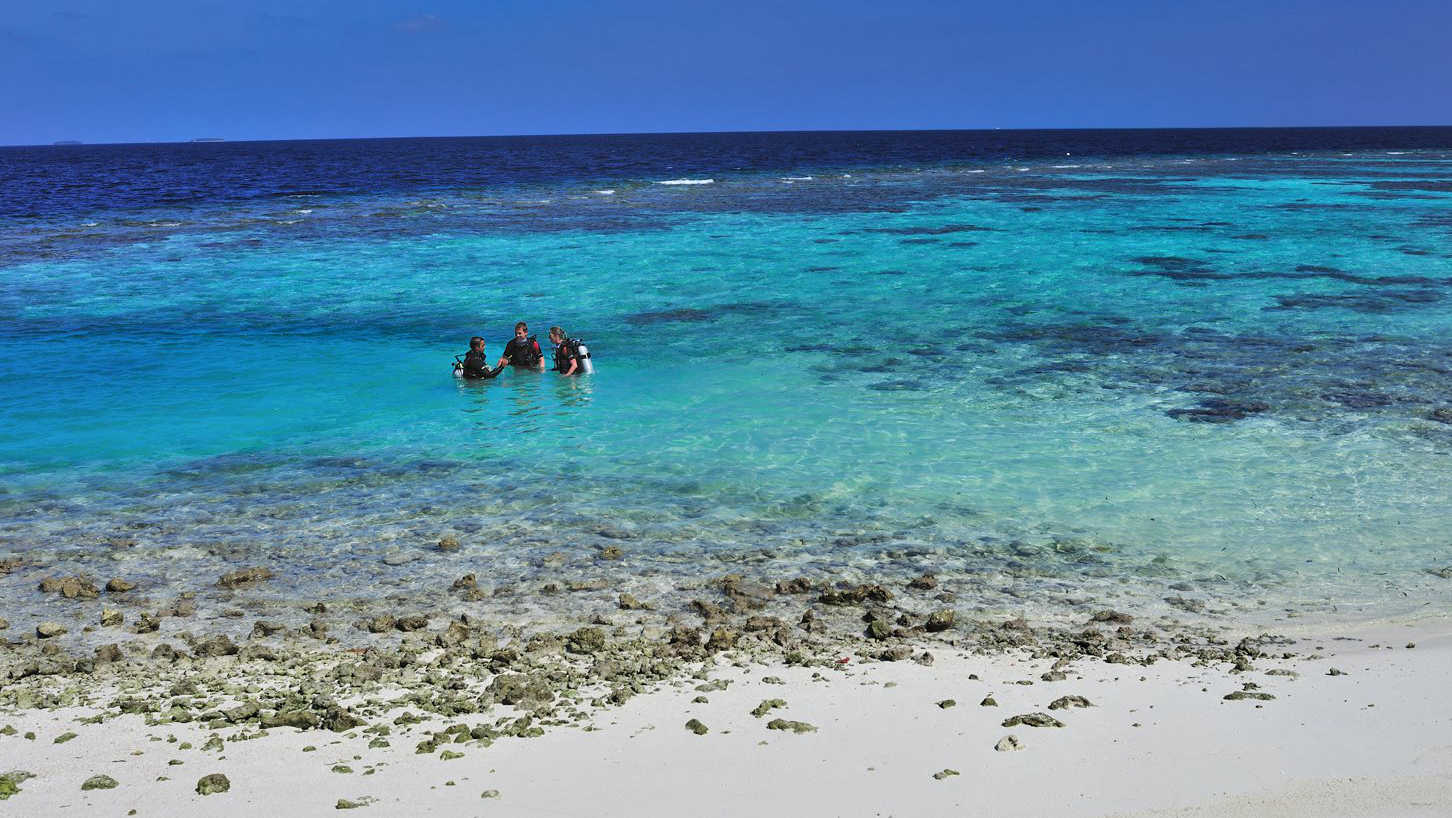 Grade-A Snorkeling & Diving - pic 5