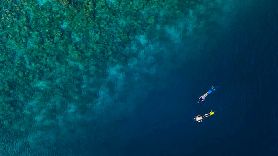Sports & water sports - pic 5