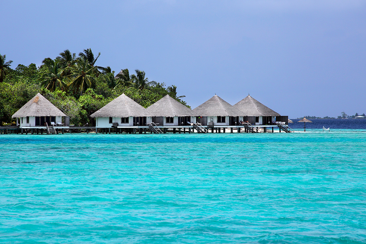 Gangehi Island Resort - 图片 4