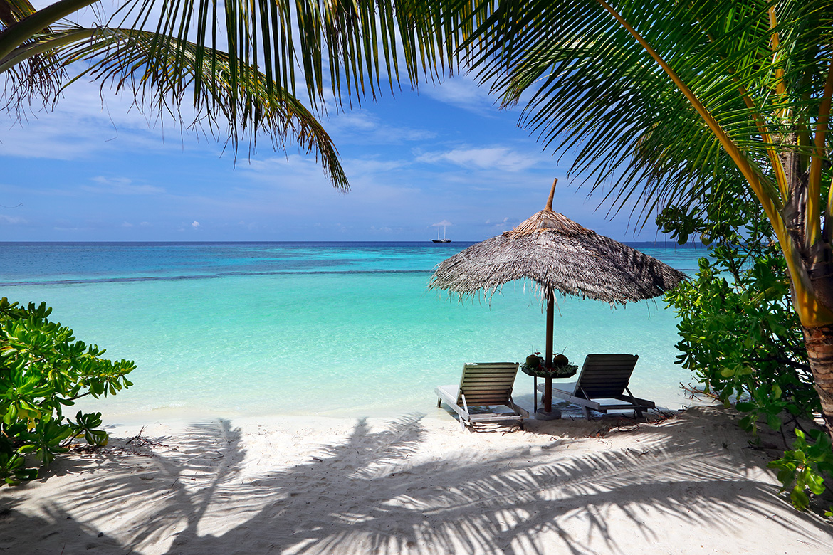 Gangehi Island Resort - 图片 8