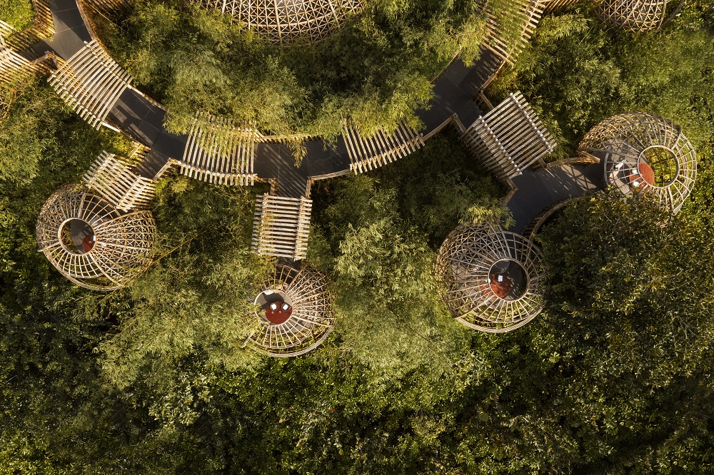 Terra - pic 2