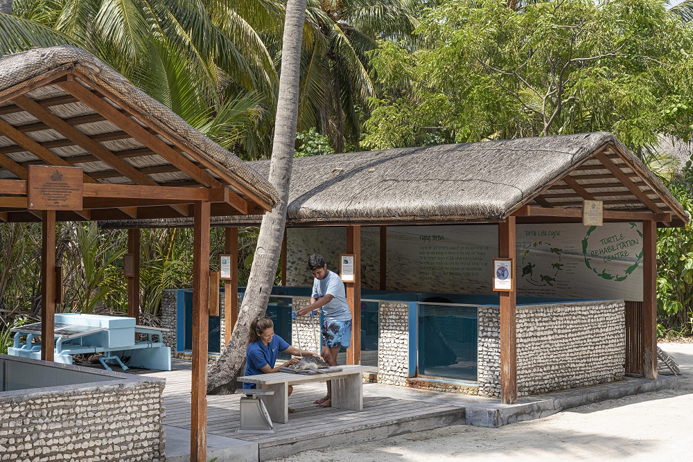Marine Conservation Centre - pic 2
