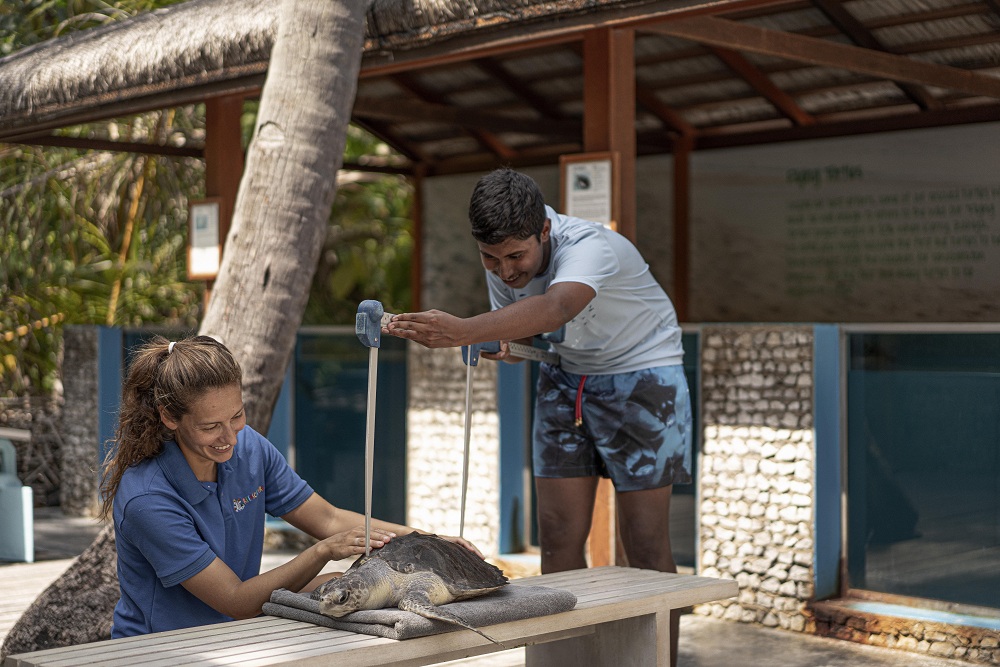 Marine Conservation Centre - pic 3