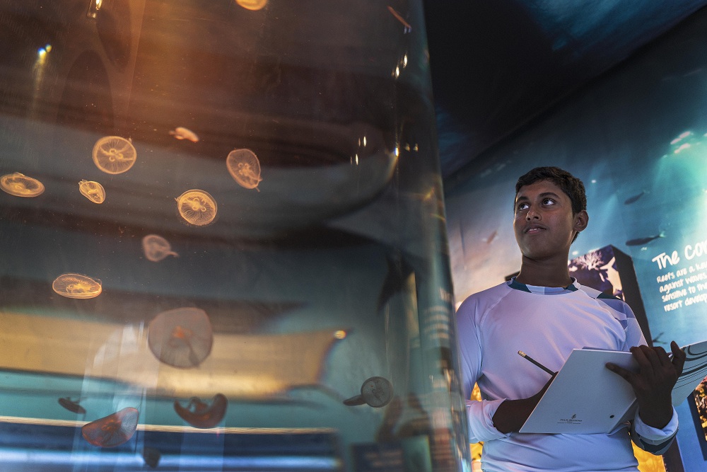 Marine Conservation Centre - pic 4