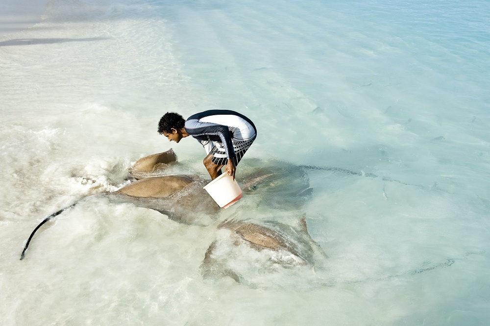 Diving & Water Sports 潛水和水上運動中心 - pic 5