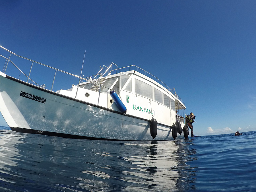Diving & Water Sports 潛水和水上運動中心 - pic 7