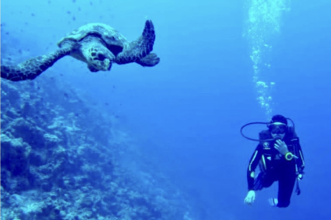 Play on Water — Diving & Water Sports - pic 5