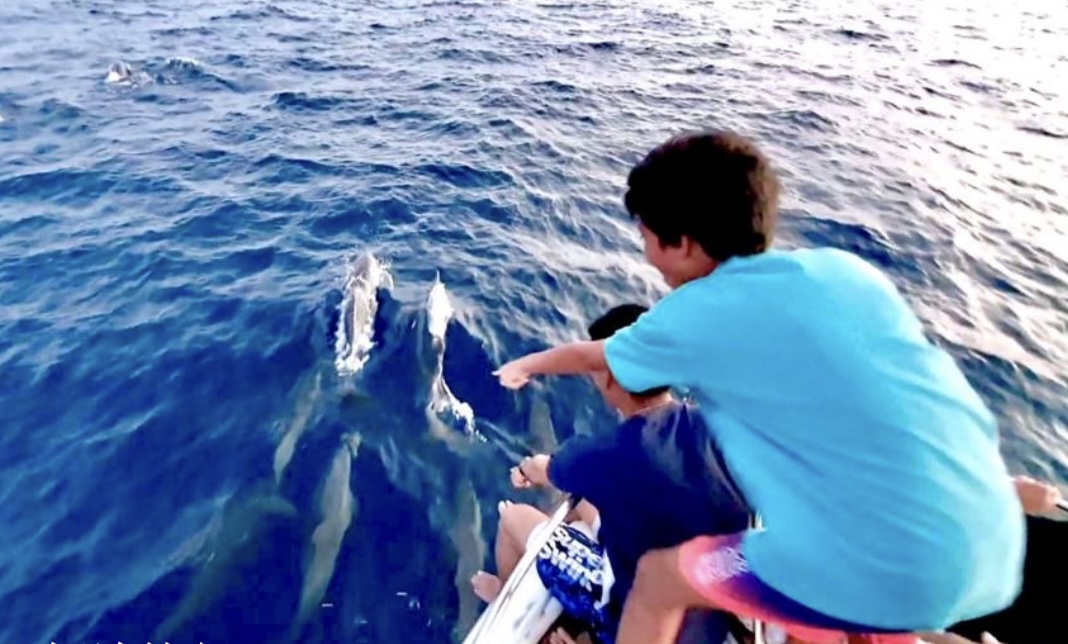 Play on Water — Diving & Water Sports - pic 3