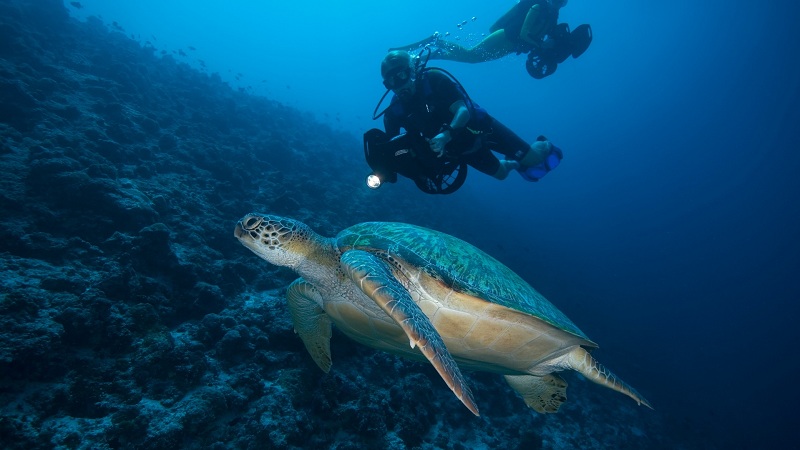 Water Sports, Diving & Snorkelling