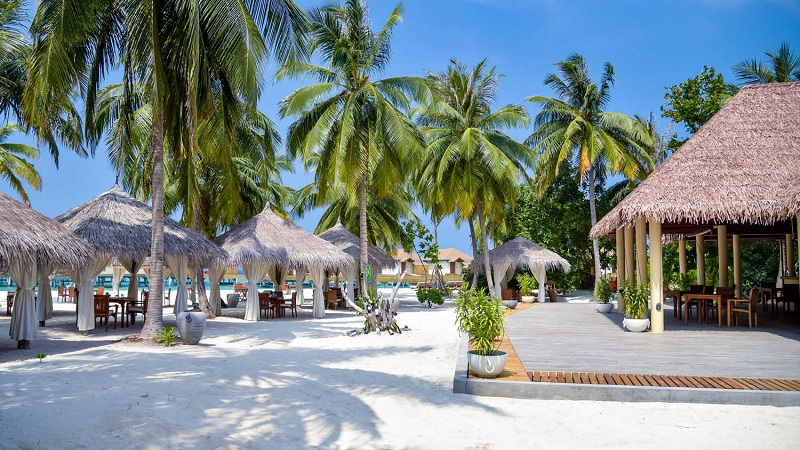 Reethi - pic 3