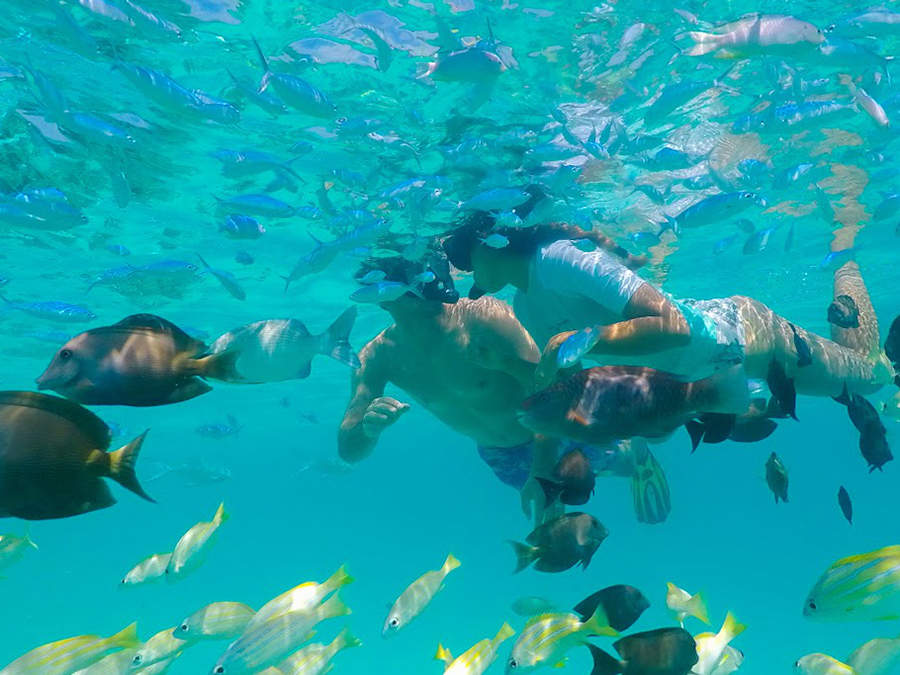 Veligandu Island - ๆ
ไบๅพ็ 2